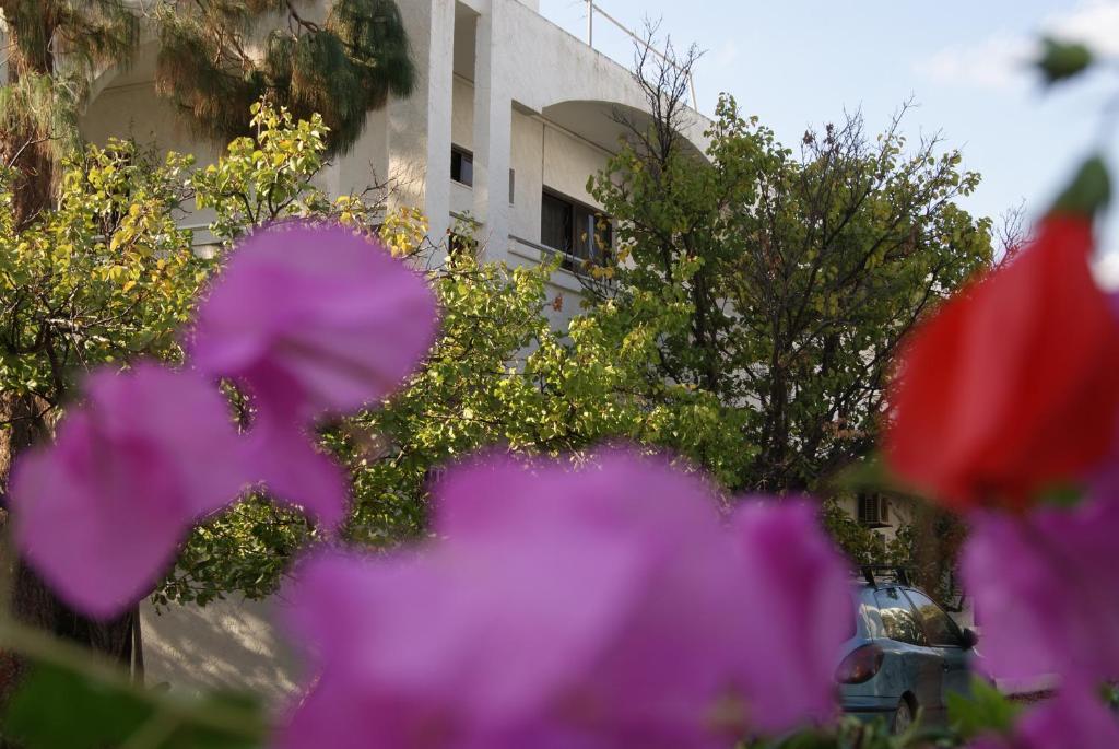 Thalassa Studios فاليراكي المظهر الخارجي الصورة