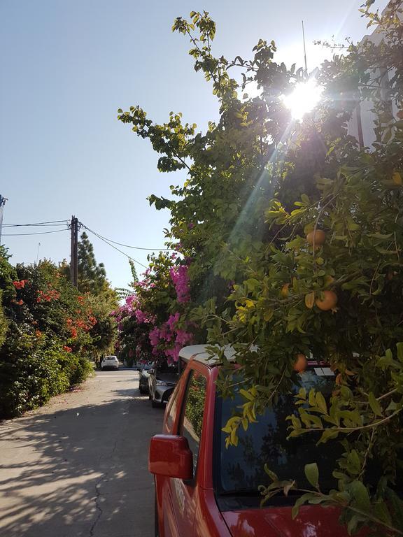Thalassa Studios فاليراكي المظهر الخارجي الصورة