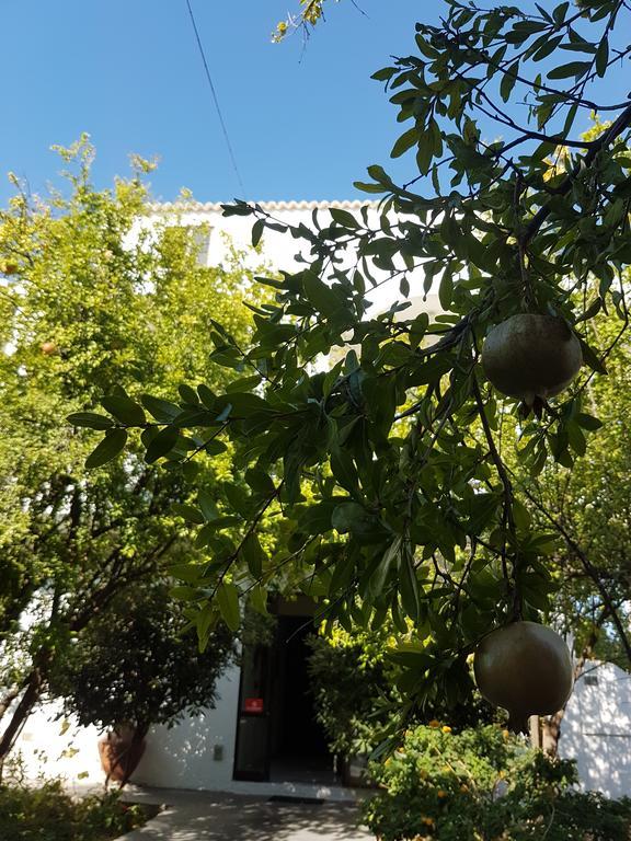 Thalassa Studios فاليراكي المظهر الخارجي الصورة