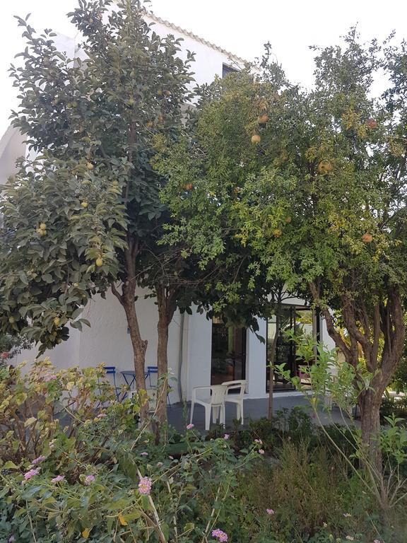 Thalassa Studios فاليراكي المظهر الخارجي الصورة