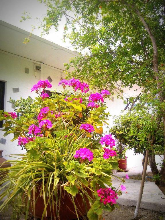 Thalassa Studios فاليراكي المظهر الخارجي الصورة